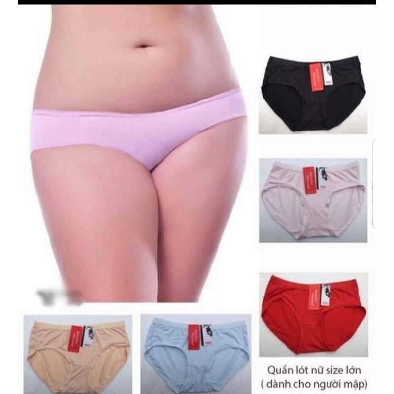 Quần lót cotton VN big size
