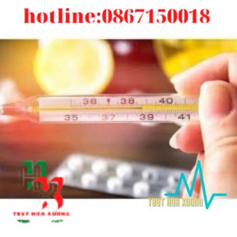 Nhiệt Kế Huỷ Ngân Đo Nhiệt Độ Cơ Thể