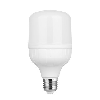 Đèn Led 10W siêu sáng