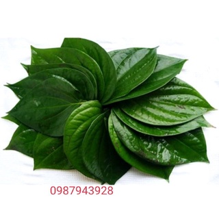 Lá trầu không tươi 500g