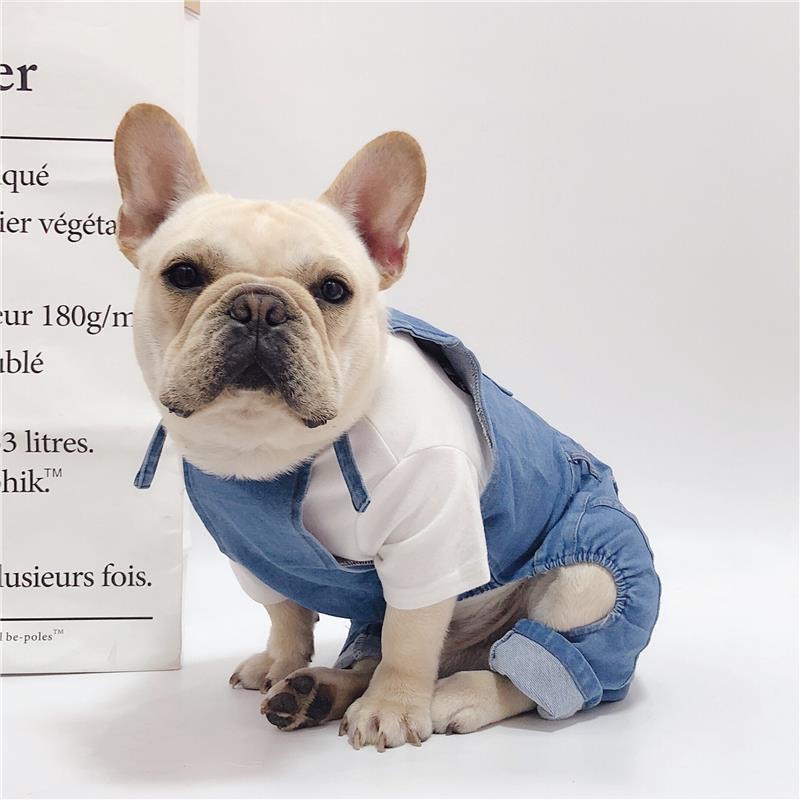 Bộ Áo Liền Quần Vải Jean Denim Dành Cho Thú Cưng Chó Nhỏ