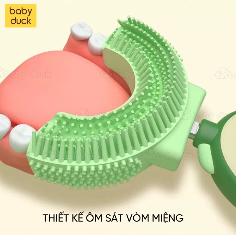 Bàn chải chữ u siêu cao cấp 2000 sợi lông chải hình quả bơ và sư tử