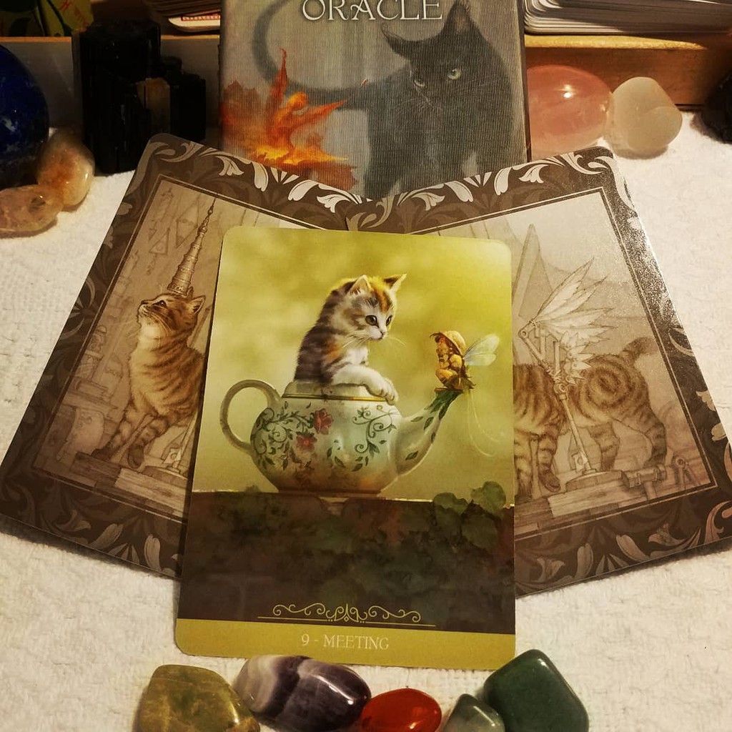 Bộ Bài Barbieri Fantasy Cats Oracle (Mystic House Tarot Shop) - Bài Gốc Authentic Chính Hãng 100%