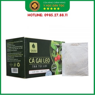 Cà gai leo trà túi lọc hộp 150Gr ⚜️FREESHIP⚜️ Bảo vệ lá gan của bạn hàng ngày
