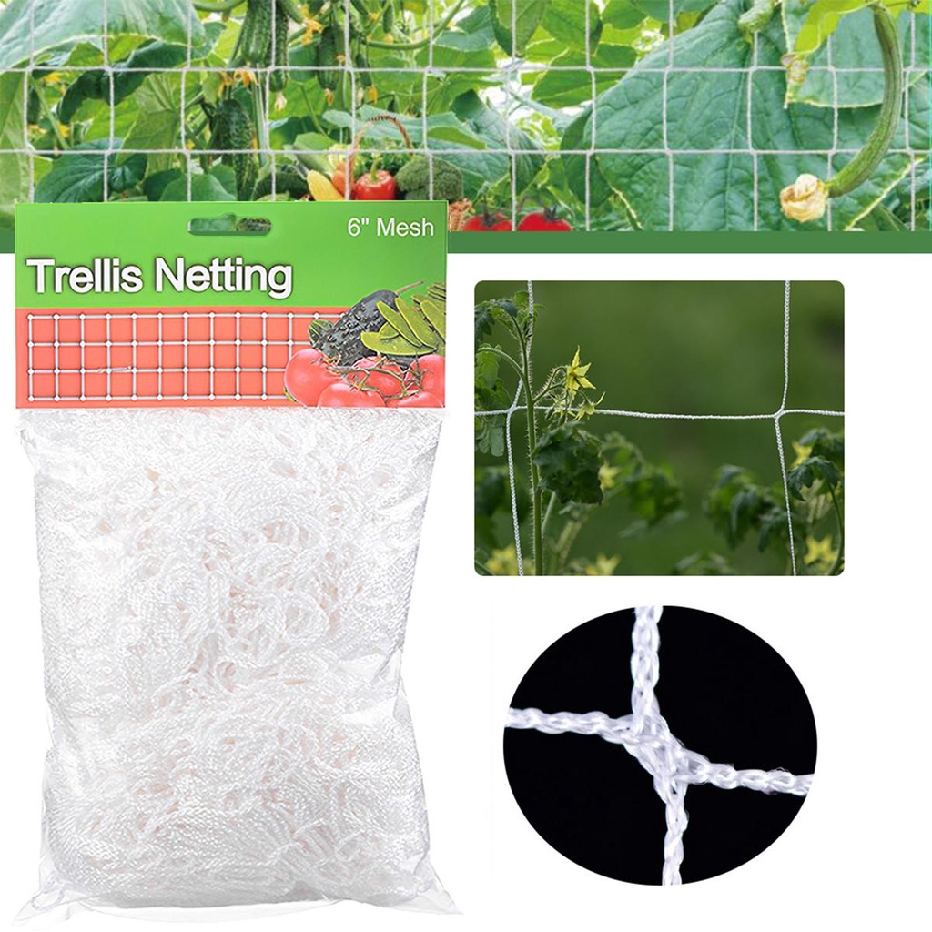 Lưới Nylon Trồng Cây Dây Leo Chịu Được Sức Nặng