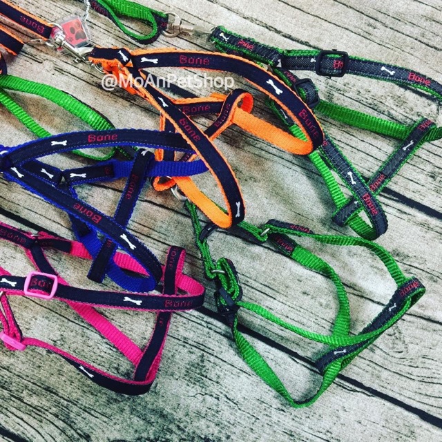 Dây dẫn Yếm cho Thú cưng