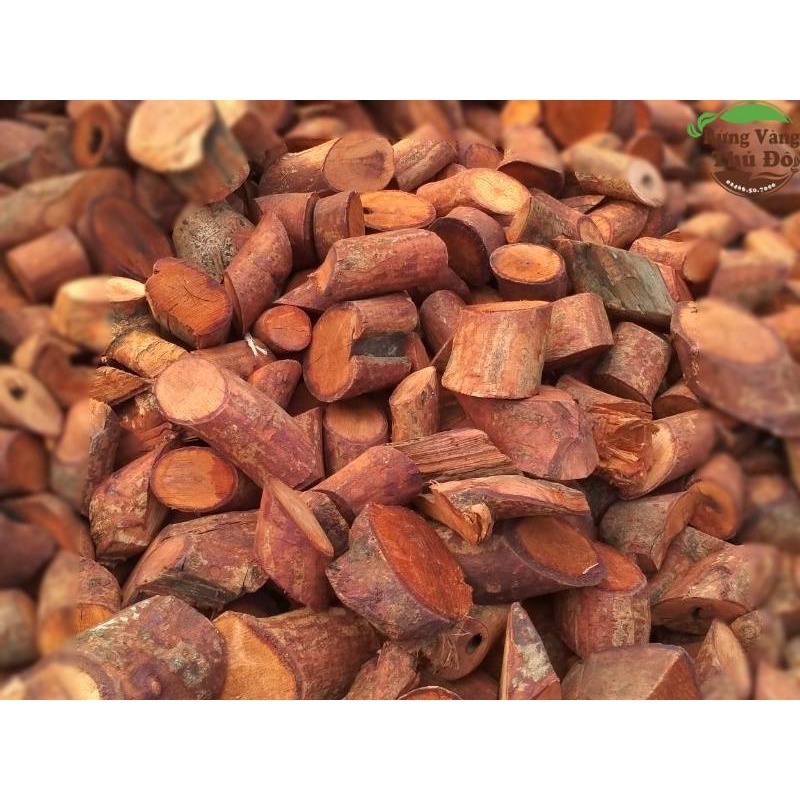 1kg thân rễ Mú từn thảo dược quý cho phái mạnh