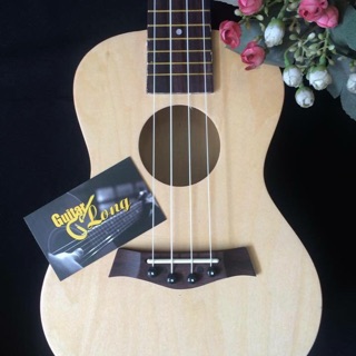Đàn ukulele concert