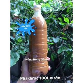 1L dịch chuối trứng đậm đặc tự ủ bón cây siêu tốt