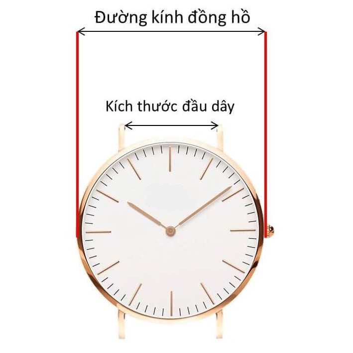 Dây Lưới Đồng hồ DW Size Nữ Thép Không Gỉ Có Logo khắc chìm