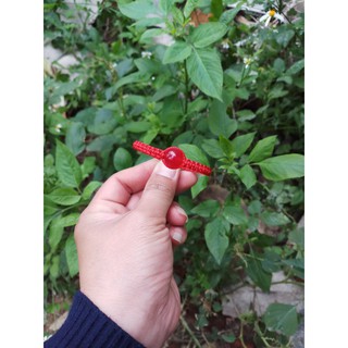 Vòng Đan Dây Đá Phong Thủy ( thông báo size cổ tay )