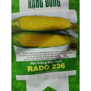 Hạt giống bắp ngọt