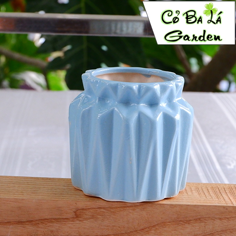 Chậy cây mini để bàn hình hũ tiền