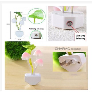 Đèn ngủ cảm ứng, đèn ngủ cây nấm cảm ứng ánh sáng avatar