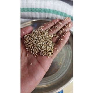 Gói Cát Bali 1KG
