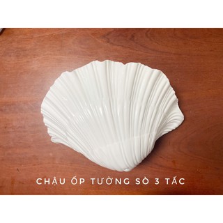 Chậu nhựa ốp tường sò