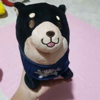 Gấu bông my trương
