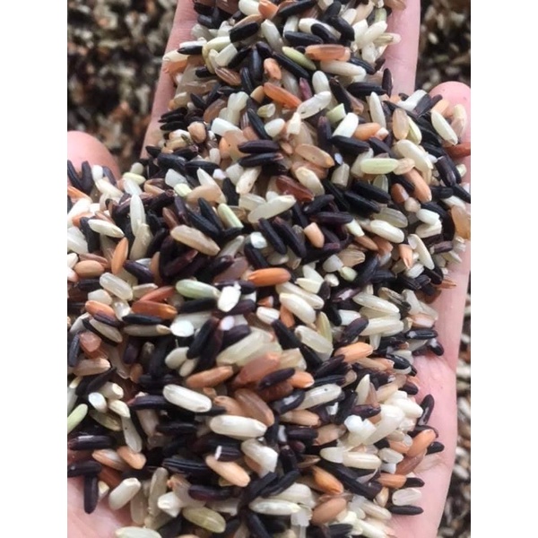 Gạo lứt tam sắc 1kg