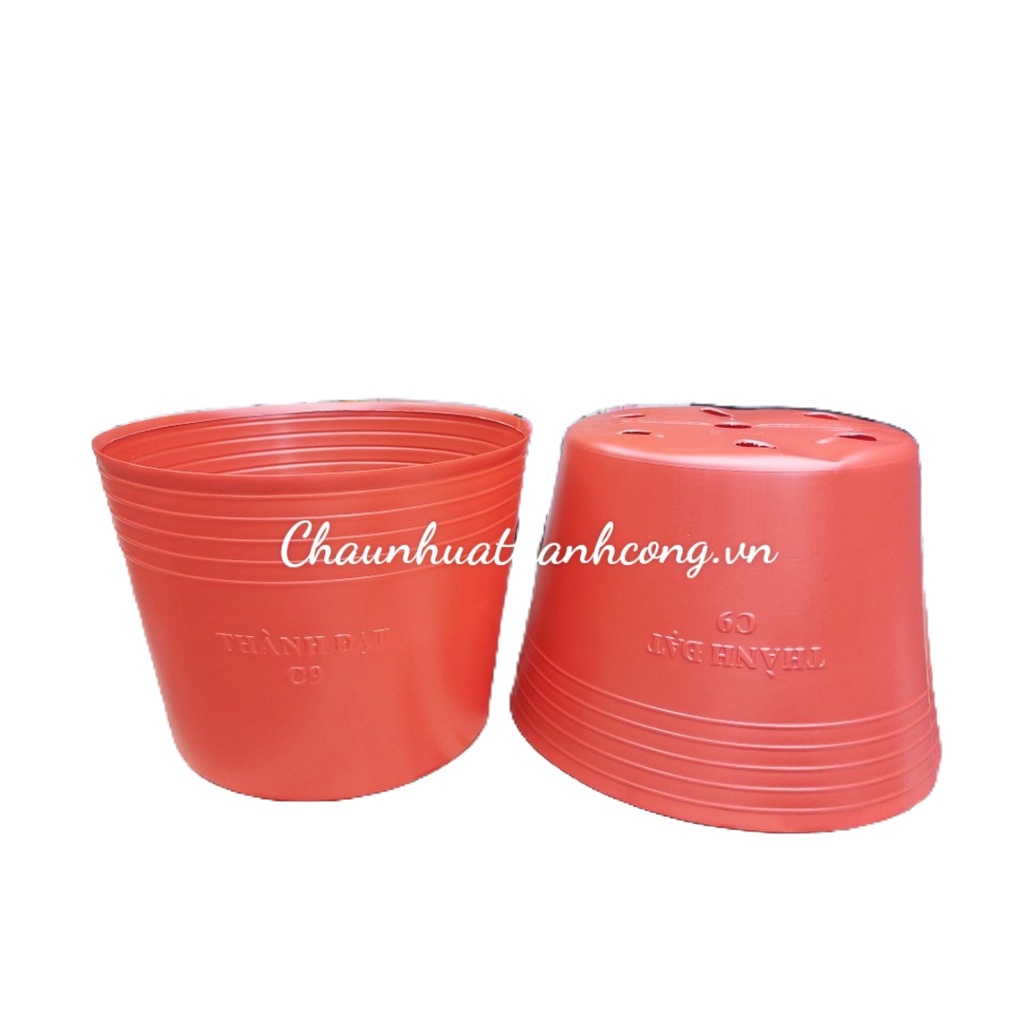 Set 10 Chậu nhựa đỏ C9L  trồng cây