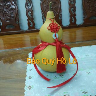 Bầu Hồ Lô khô tự nhiên