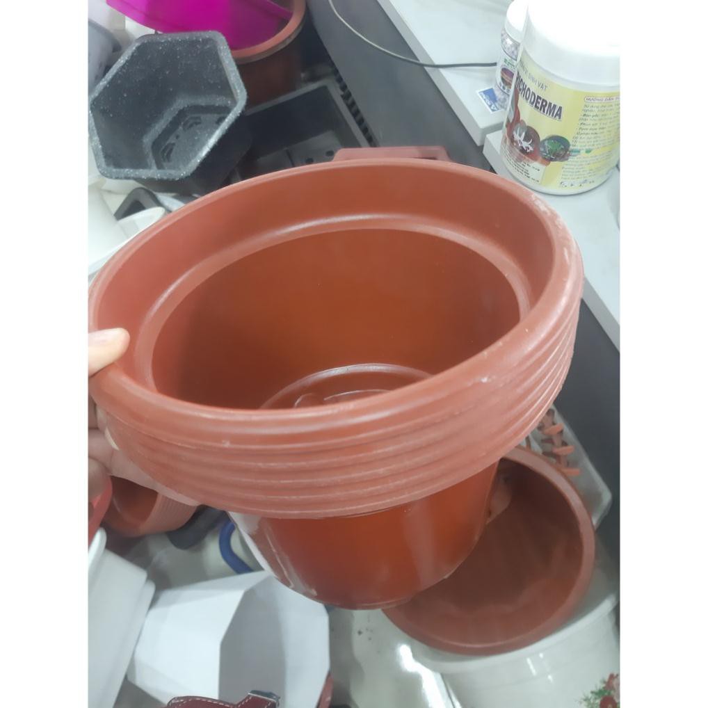 Chậu nhựa trồng cây hoa cảnh đỏ đỗ AB350 X 280