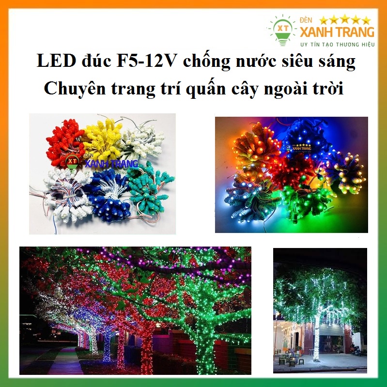 Led đúc F5 12V quấn cây, làm biển quảng cáo, đèn trang trí ngoài trời chống nước tuyệt đối an toàn