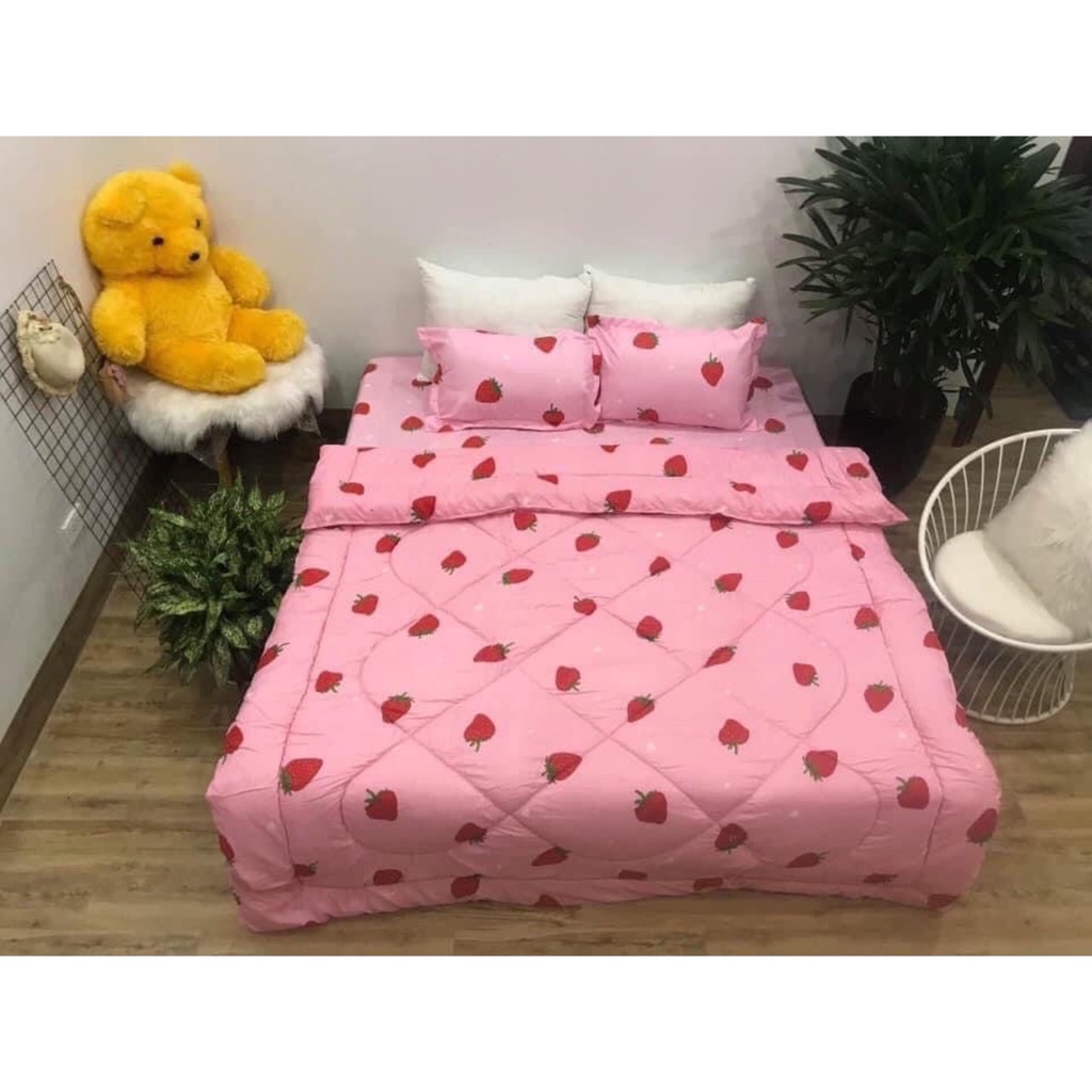 Bộ 5 món chăn phao sắc màu cotton poly, set 5 món chăn phao sắc màu miễn phí bo chun ga giường