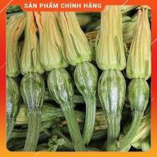 HẠT GIỐNG BÍ SIÊU NỤ GÓI 10G