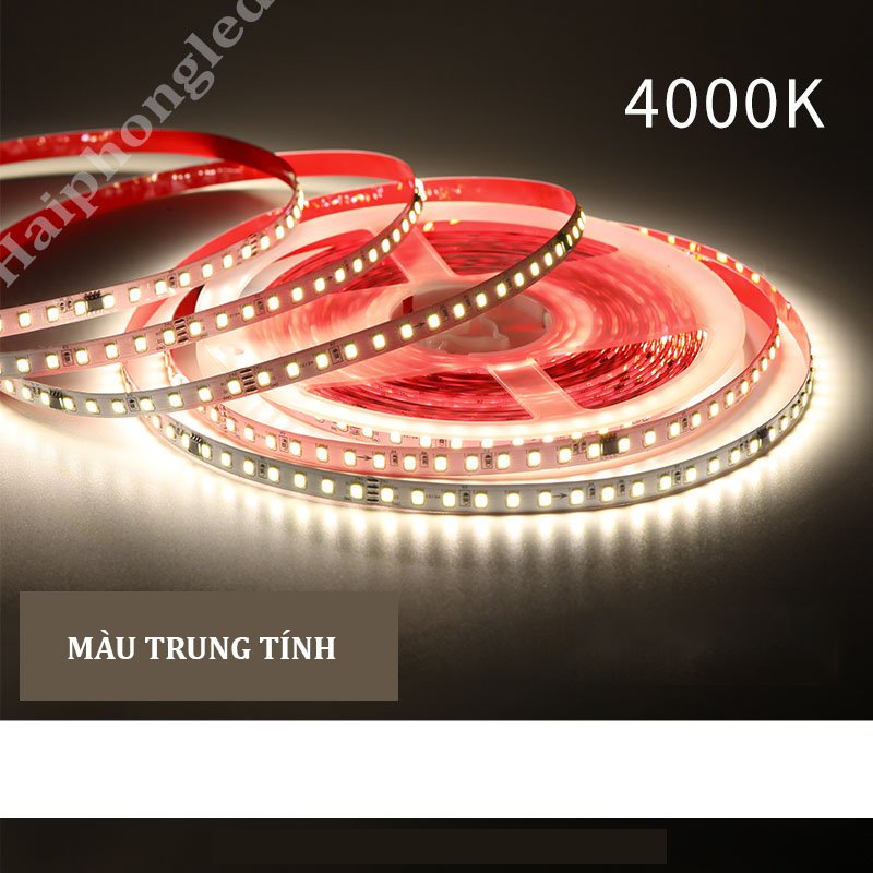 Cuộn led dây dán hiệu ứng nháy đuổi 10m 24V 120 led/m Led dán siêu sáng giá rẻ loại tốt trang trí tủ bếp, kệ trưng bày