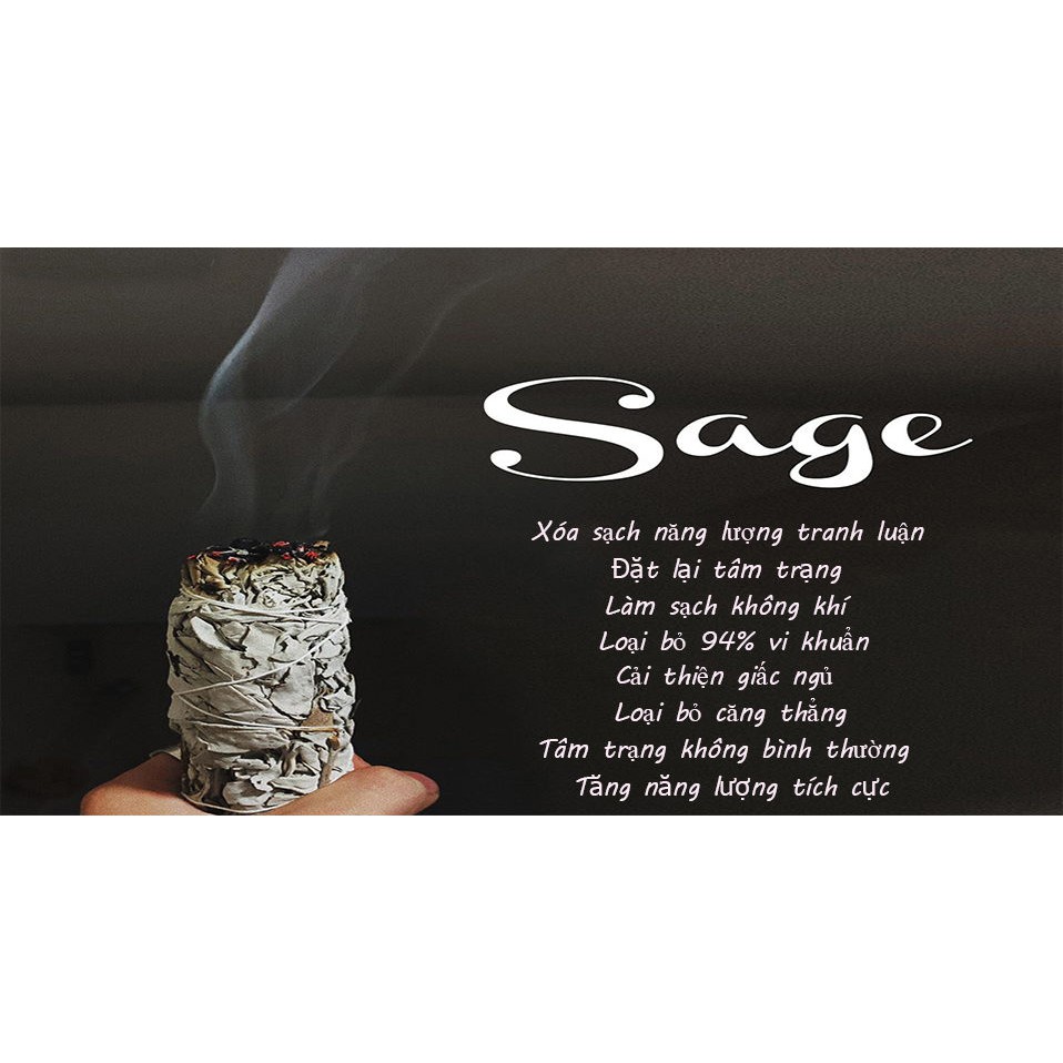 Bó lá xô thơm huyết rồng 10cm White Sage + Dragon's Blood Smudge Stick 4 inch Song An Eco