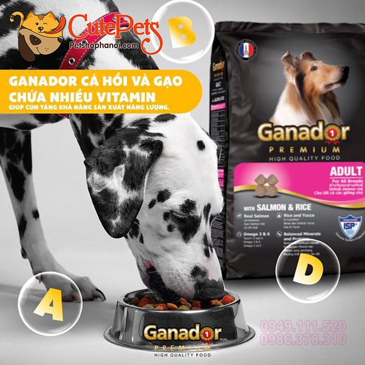 Thức ăn cho chó Ganador 3Kg Hạt cho chó giá rẻ - CutePets