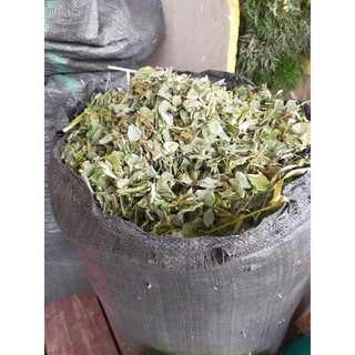 1 Kg kim tiền thảo hỗ trợ giảm sỏi mật, thận