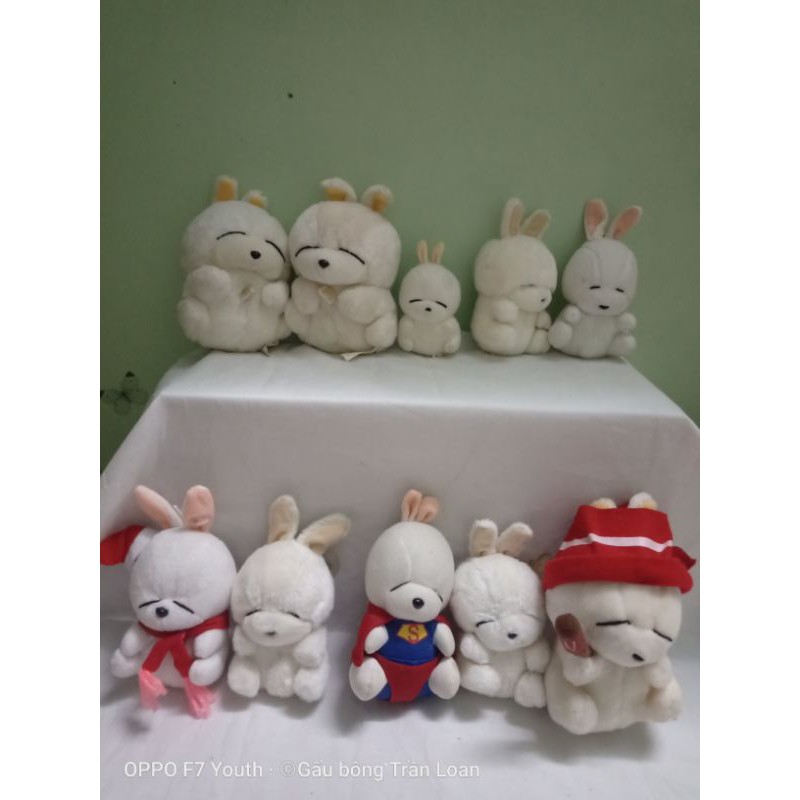 Gấu bông mắt hí