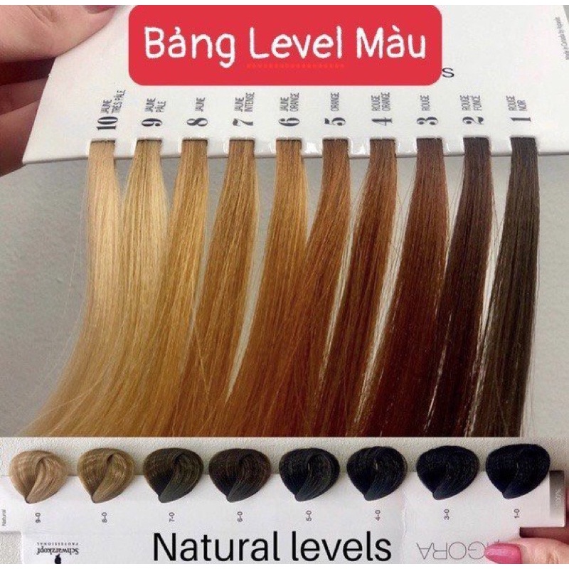 Kem Nhuộm Tóc Màu Nâu Vàng Khói 6.31 Dark Blonde Ash Gold Hair Dye Cream