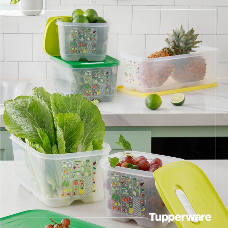 Bộ hộp trữ mát có nút hô hấp Tupperware Ventsmart 5 hộp-Hàng chính hãng Tupperware Việt Nam phân phối