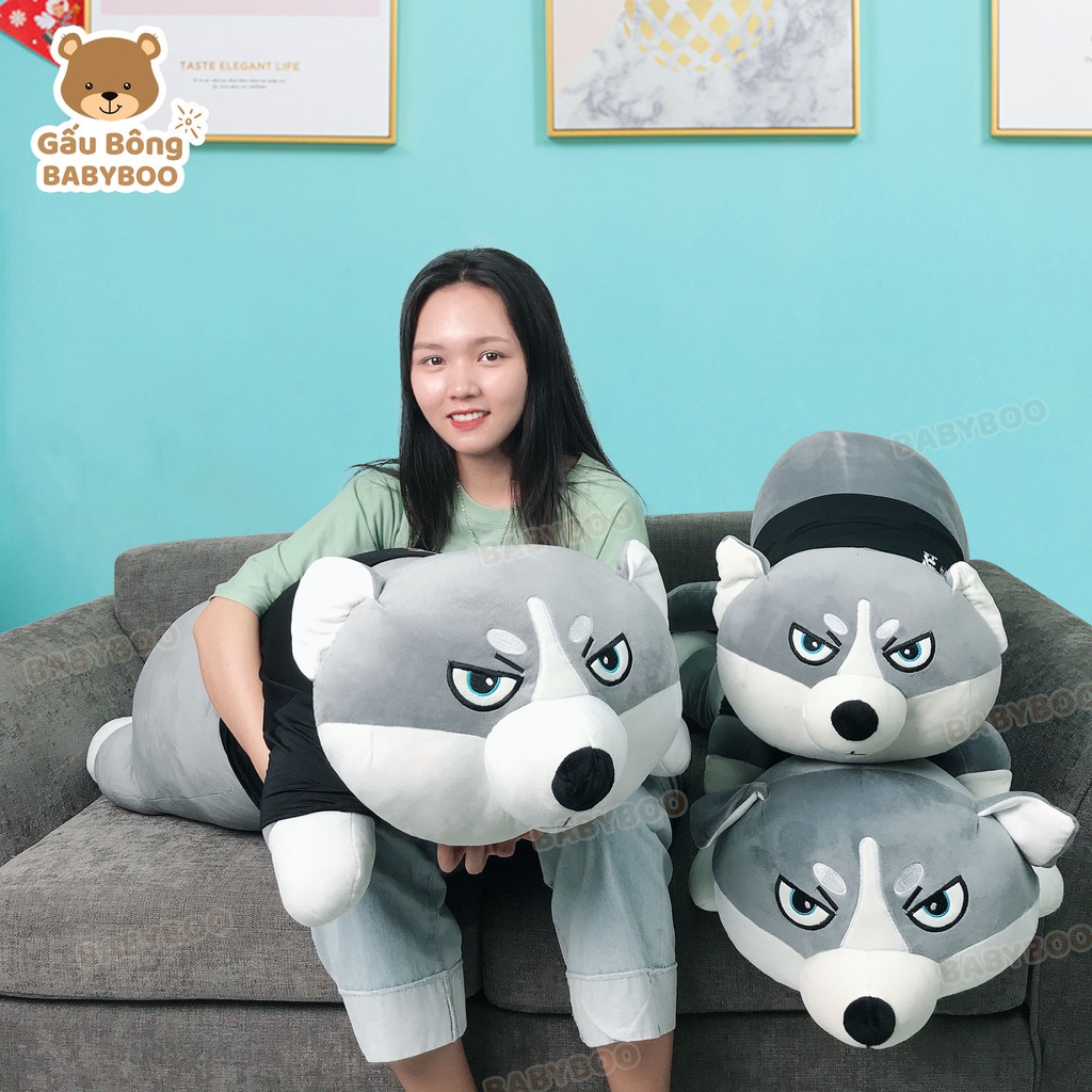 Gấu Bông Husky 1m7 Siêu To Khổng Lồ - Gối Ôm Thú Nhồi Bông Quà Tặng BABYBOO