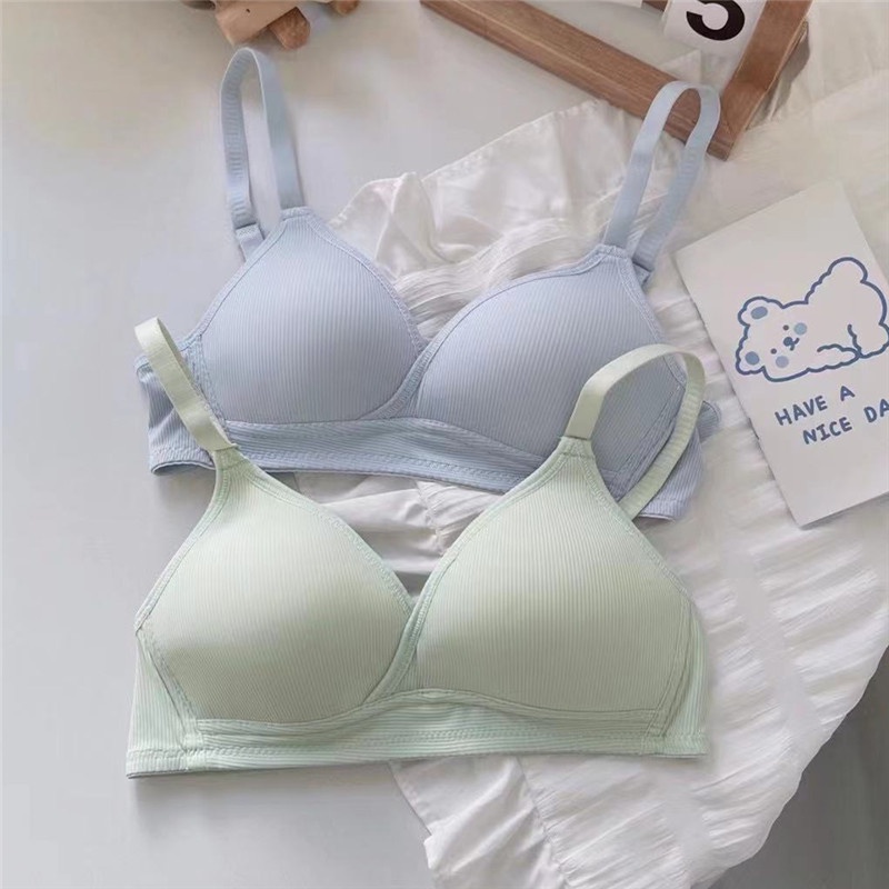 Áo ngực không gọng cotton mút mỏng - Áo lót nữ 3 nấc cài mặc ở nhà thoải mái VALICA A919
