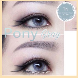 Kính áp tròng Pony Gray 14.2