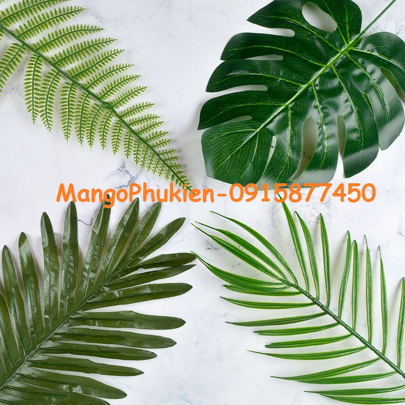 Lá nhựa chụp ảnh