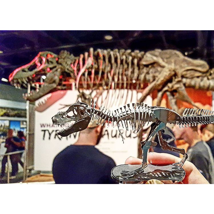 Mô Hình 3D Kim Loại Bộ Xương Khủng Long Tyrannosaurus Rex