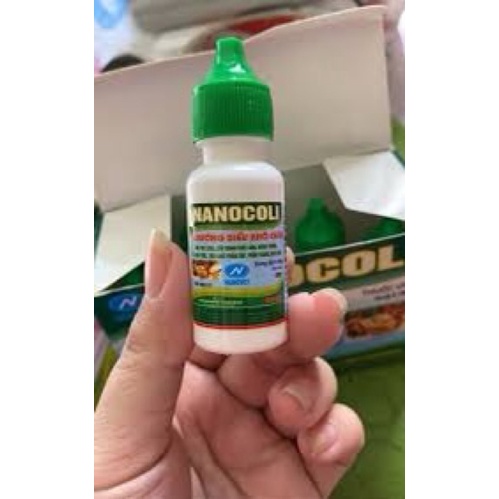 NANOCOLI Gà đá Chướng diều khô chân