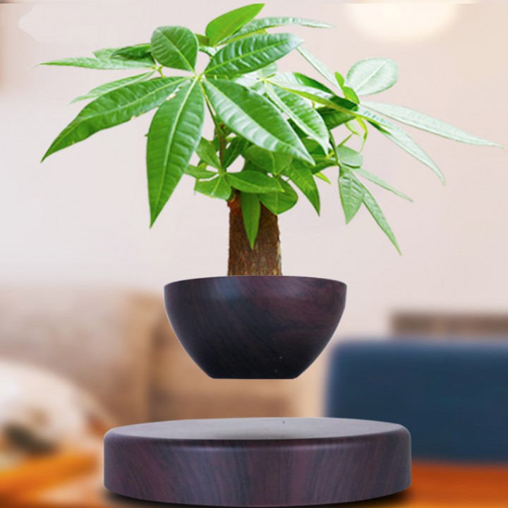 Chậu cây bay lơ lửng nam châm điện - Air Bonsai