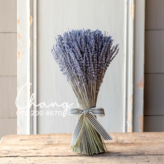 Bó hoa khô Lavender Pháp (hoa Oải hương)