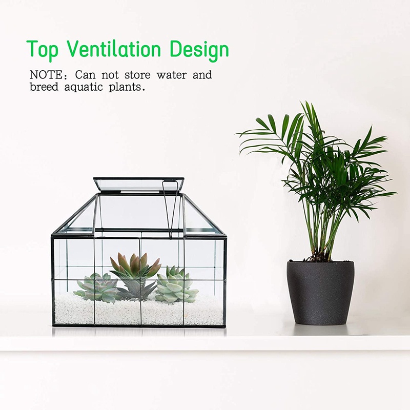 Kính Chậu Trồng Cây Thủy Tinh Hình Ngôi Nhà Có Nắp Đậy