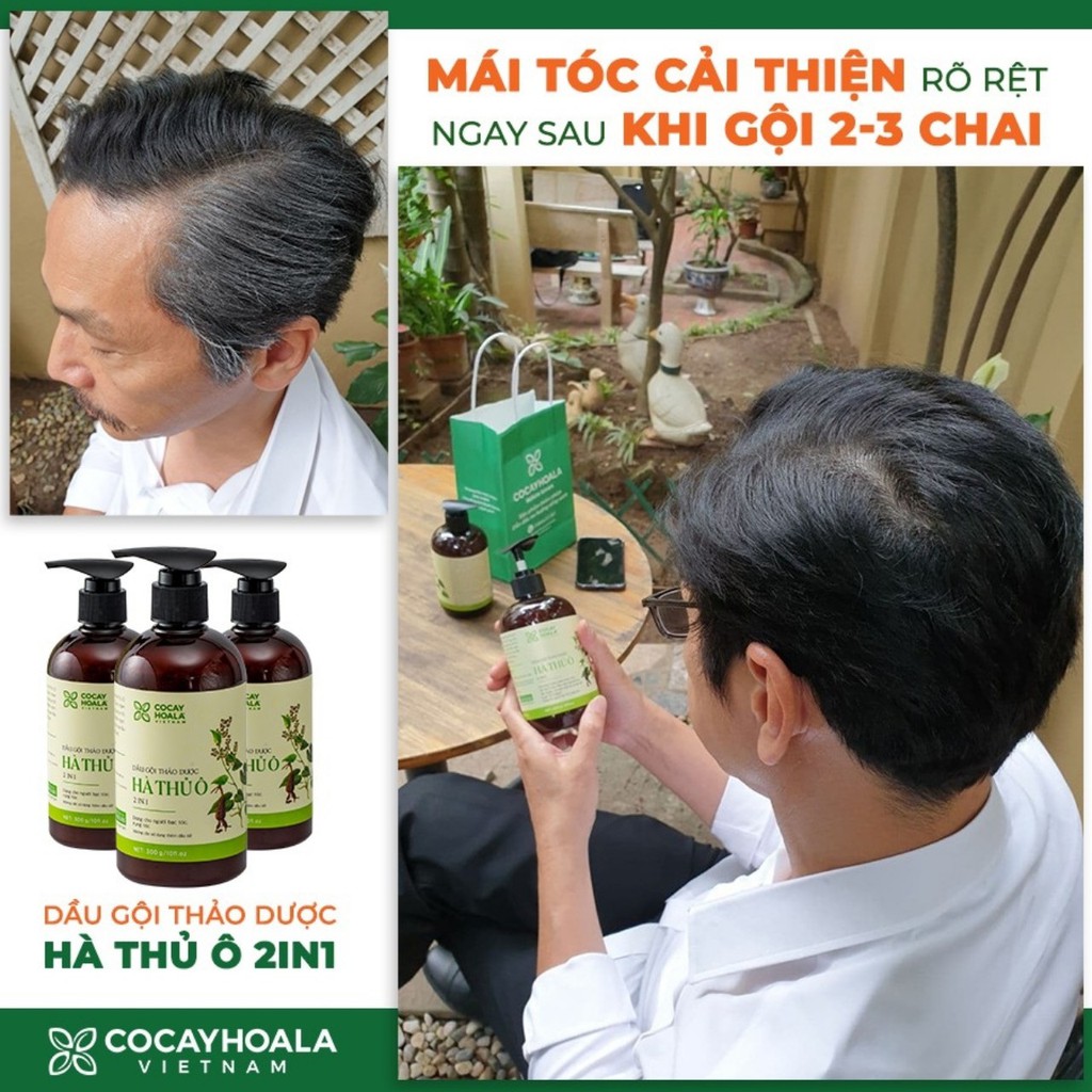 Dầu Gội Thảo Dược Hà Thủ Ô 2in1 Giảm Rụng Tóc Bạc Tóc Cocayhoala 300g( Mua 10 tặng 1)