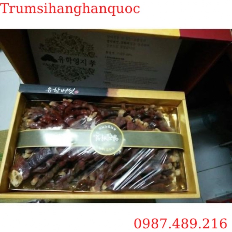 [ HÀNG MỚI VỀ ] Nấm Linh Chi Sừng Hươu Hàn Quốc, Hộp 500gr
