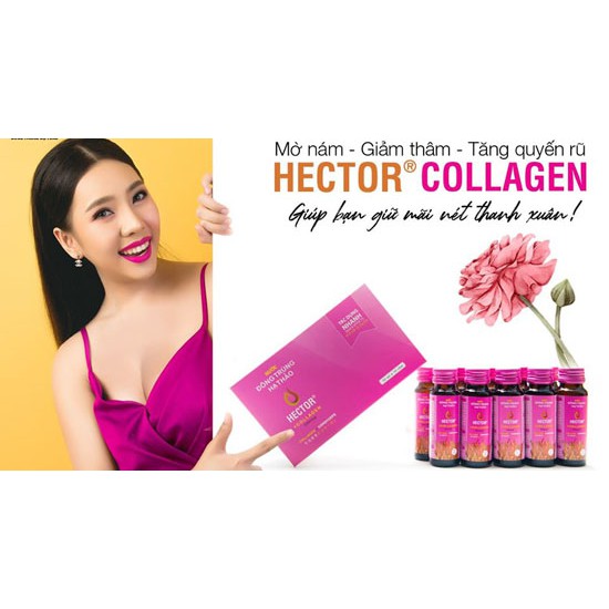 Nước Hector Collagen Đông Trùng Hạ Thảo 1 hộp 10 chai