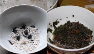 Hạt dổi nếp ( dổi rừng) siêu thơm 10 hạt
