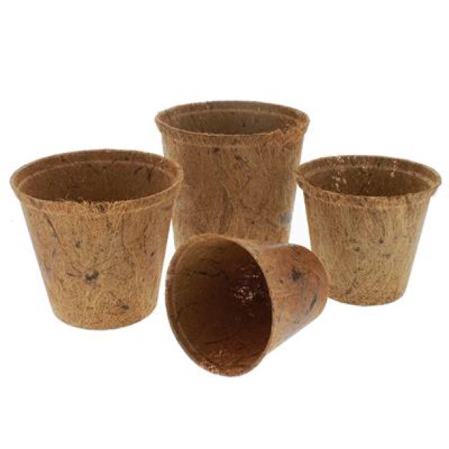 Combo 500 chậu xơ dừa tròn trung AN1002 - Coir pots