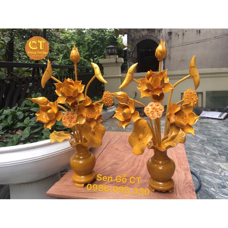 Hoa Sen gỗ | BigBuy360 - bigbuy360.vn